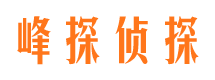 攸县市婚姻调查